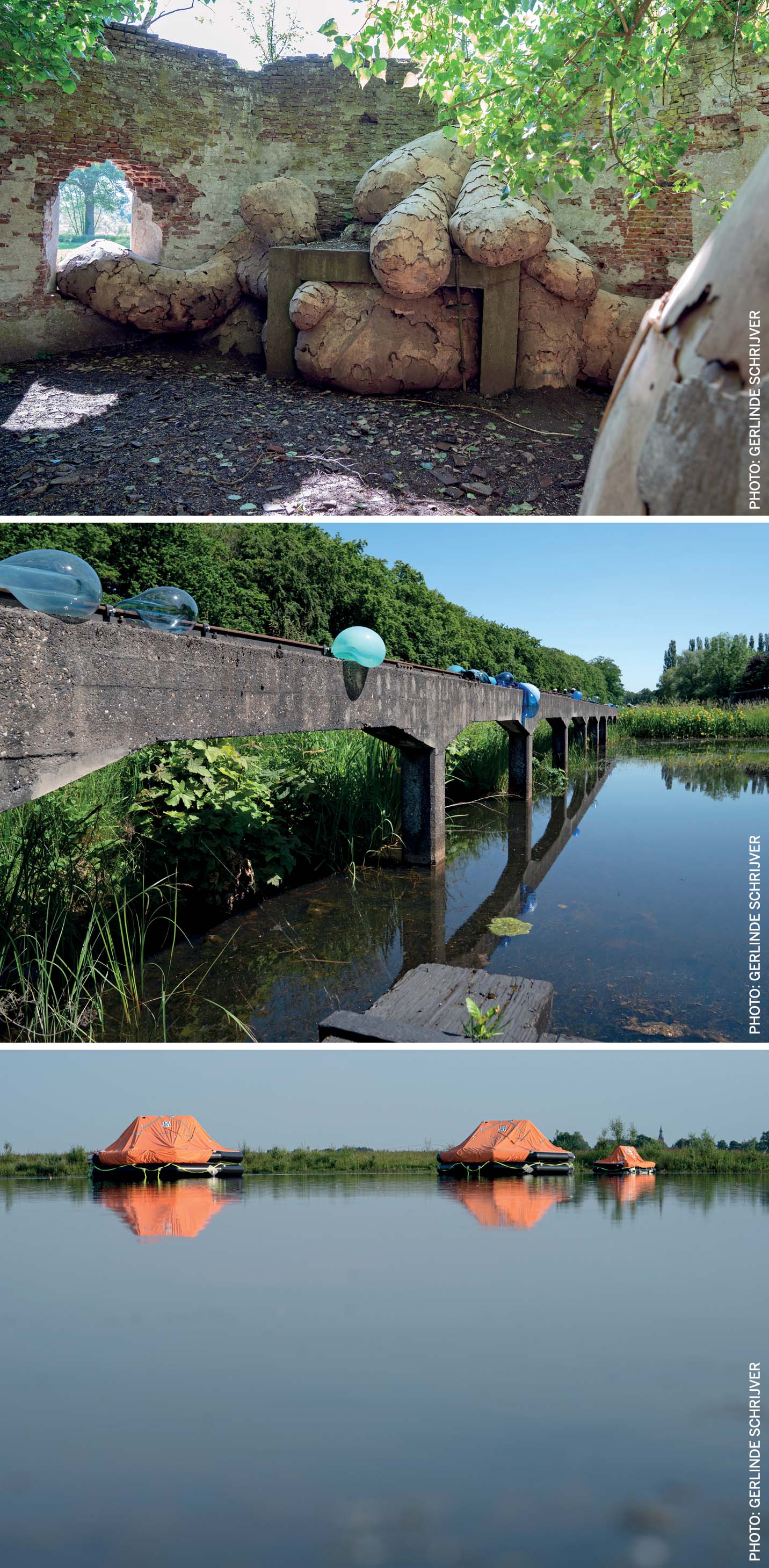 art-for-climate-sake-fungus-from-wood-brazilian-artist-henrique-oilveira-show-unexpected-forces-being-let-loose-climate-change-pressure-marinke-van-zandwijk-camping-deluge-leonard-passchier