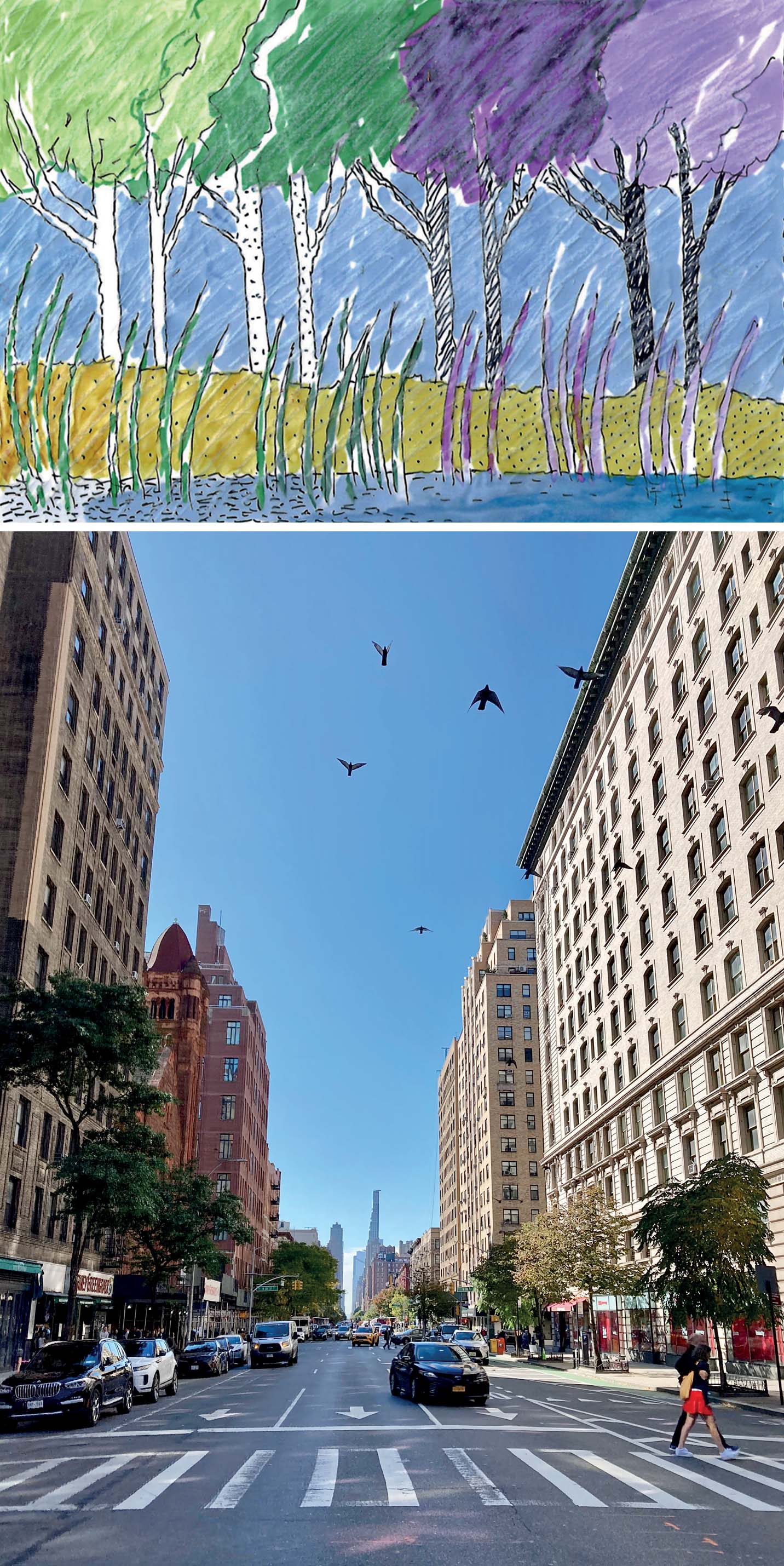 mind-in-the-city-an-artistic-rendition-changing-colors-landscape-crossing-columbus-avenue-autumn-day-october