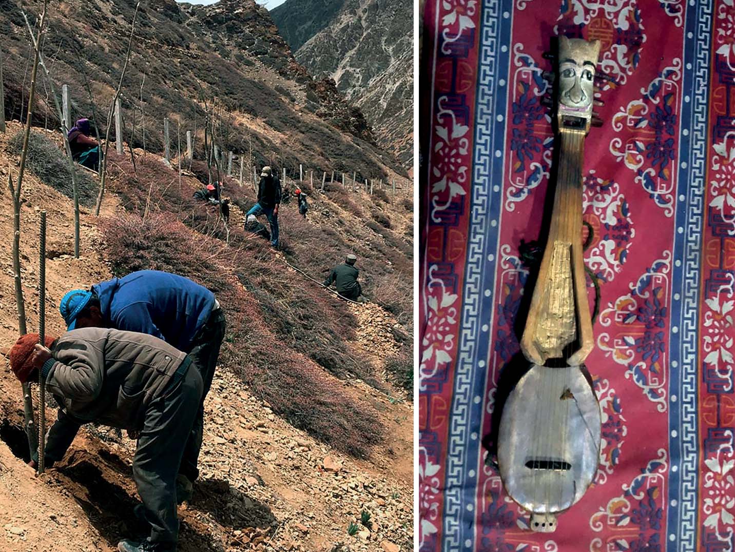 a-himalayan-journey-of-revival-plantation-willow-poplar-cuttings-community-local-musical-instrument-hango