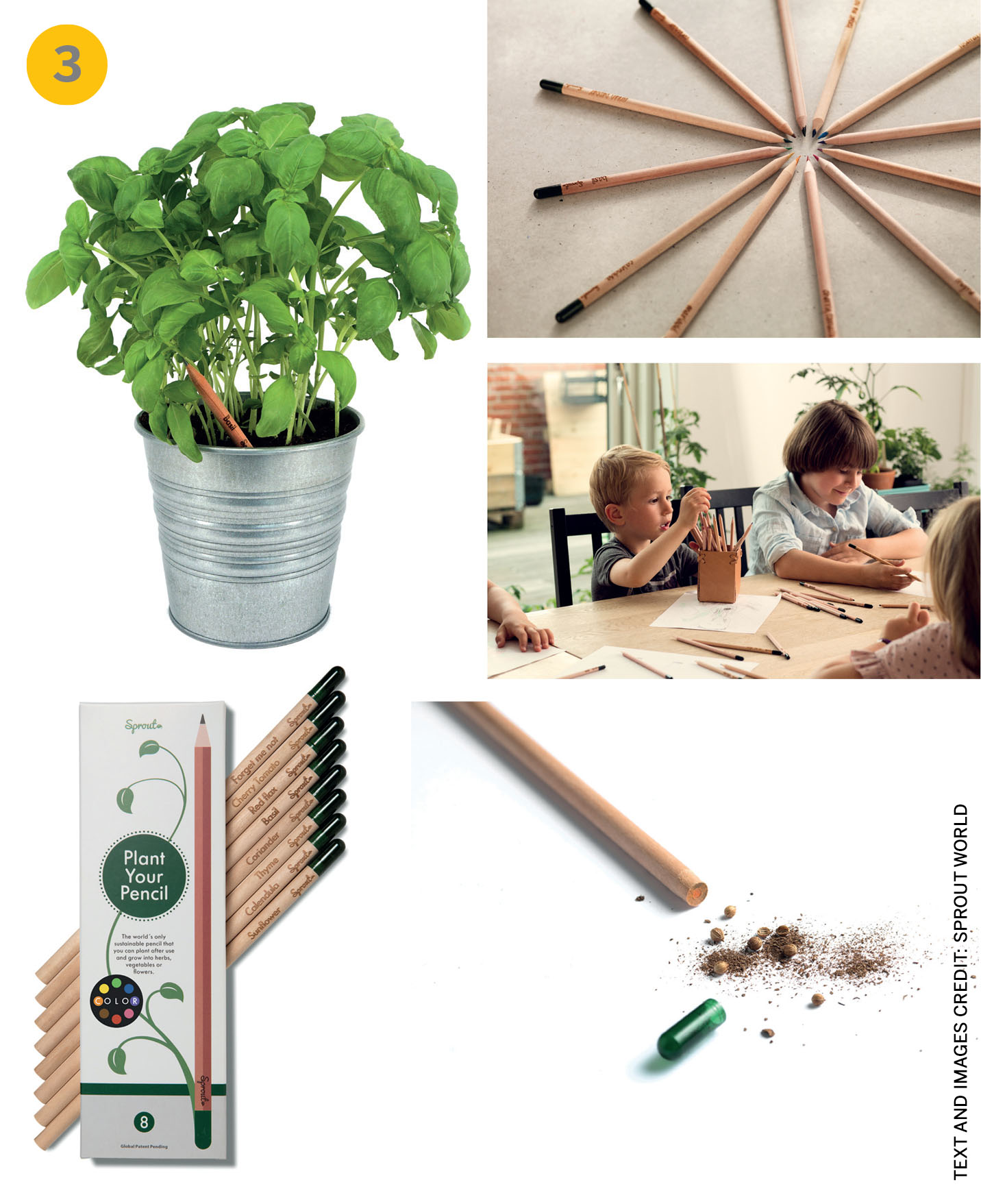 formalising-informality-sprout-pencil-cambridge-usa-taastrup-denmark-2013-present-michael-stausholm